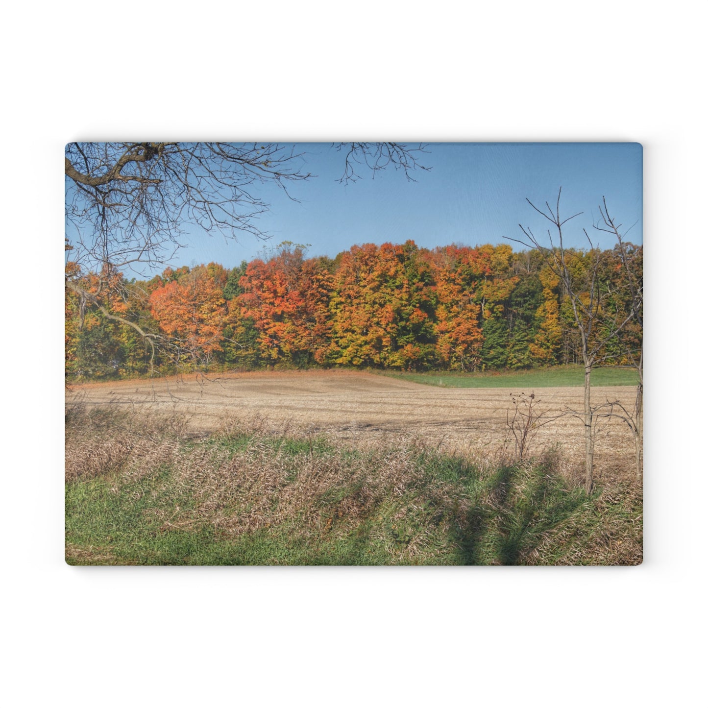 U R There Photography Fall on Piersonville Road Rustic Farmhouse Tempered-Glass Cutting Board