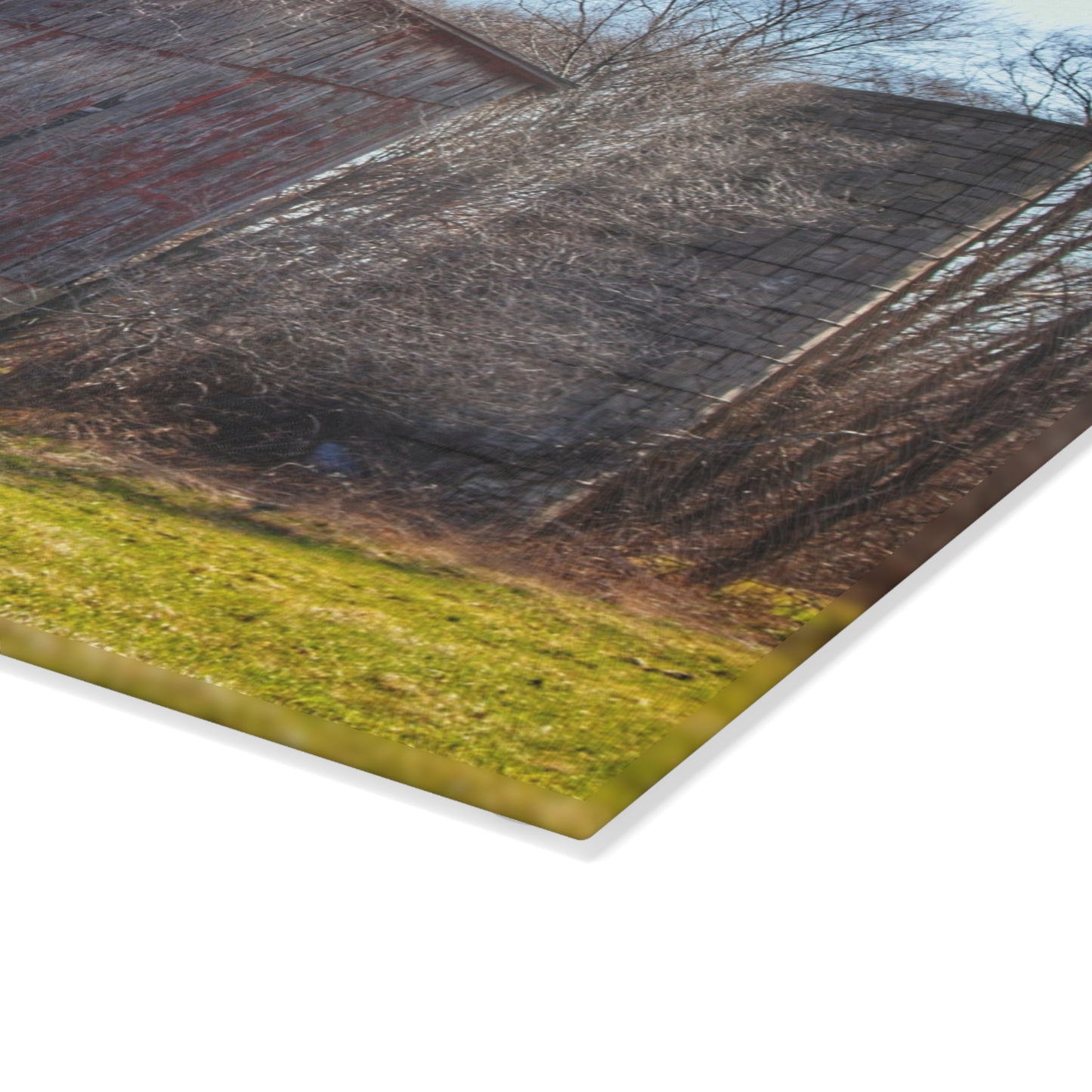 U R There Photography M-15 Red Rustic Farmhouse Tempered-Glass Cutting Board