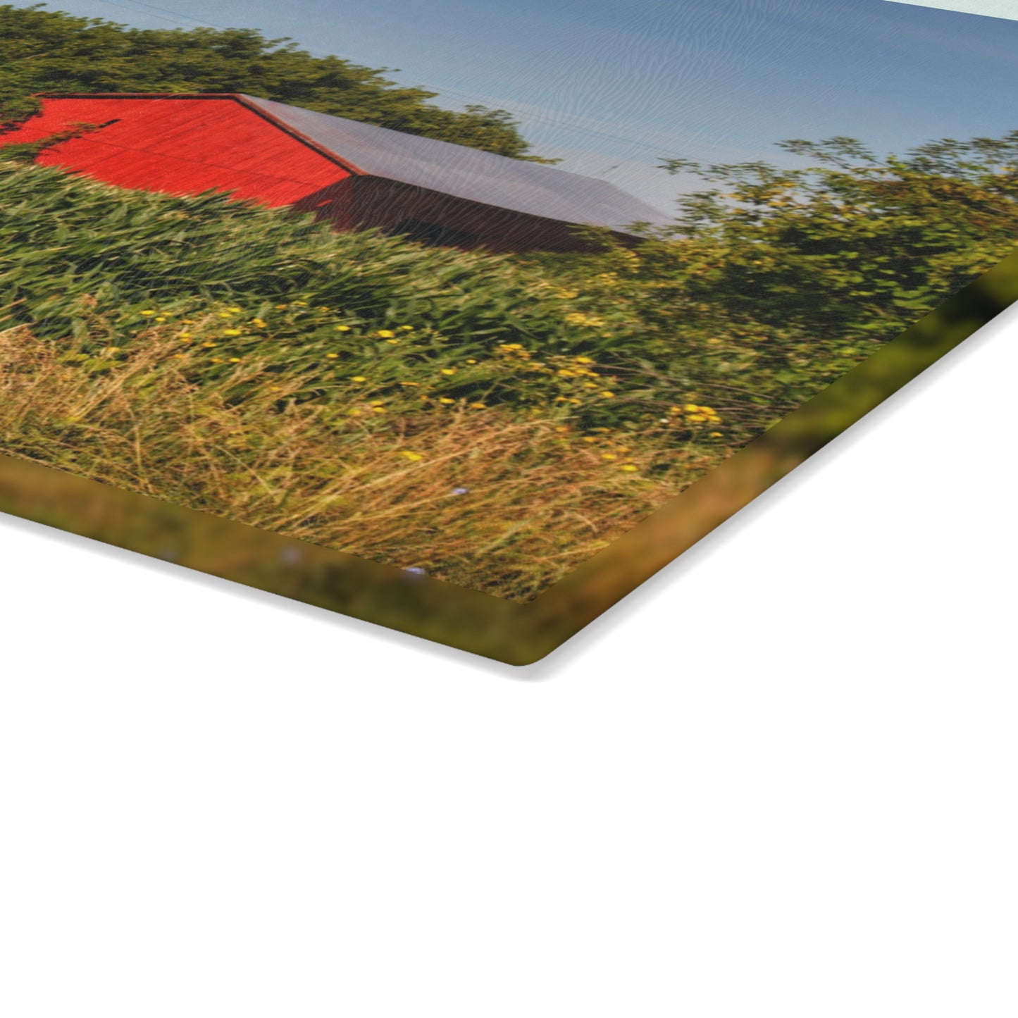 U R There Photography Willard Road Red II Rustic Farmhouse Tempered-Glass Cutting Board