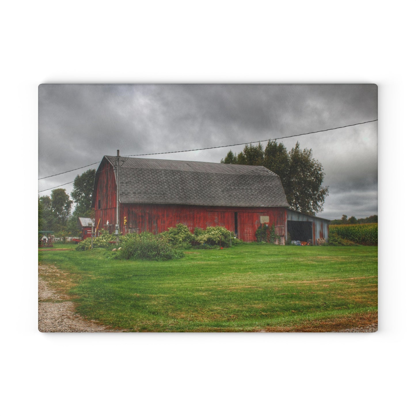 U R There Photography Country Red Rustic Farmhouse Tempered-Glass Cutting Board
