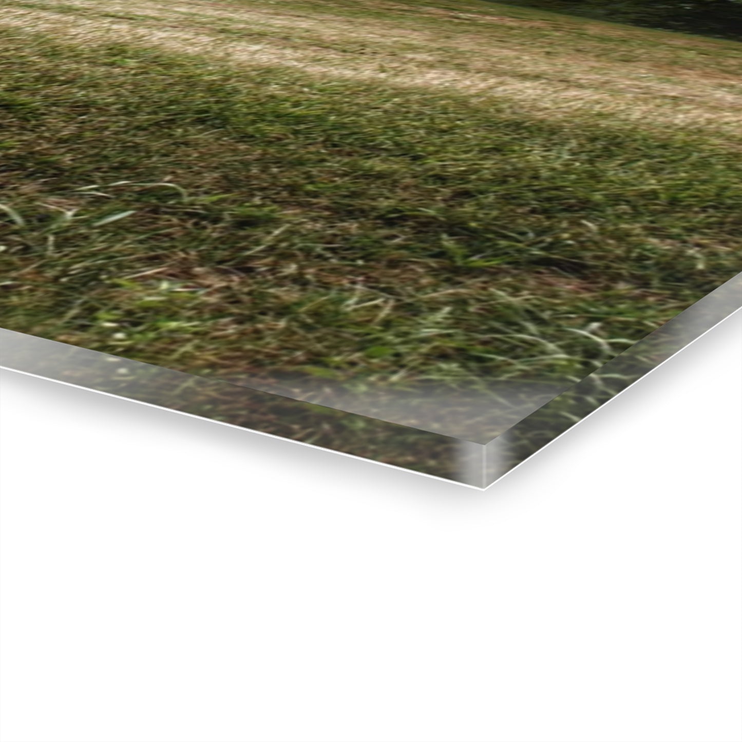 U R There Photography Five Lakes Red II Rustic Farmhouse Acrylic Wall Print