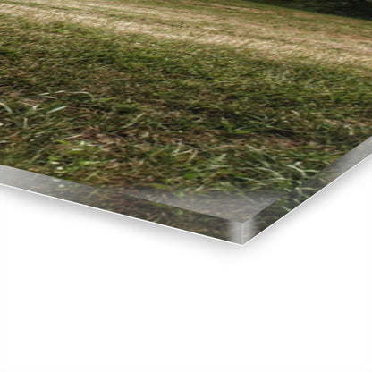 U R There Photography Five Lakes Red II Rustic Farmhouse Acrylic Wall Print