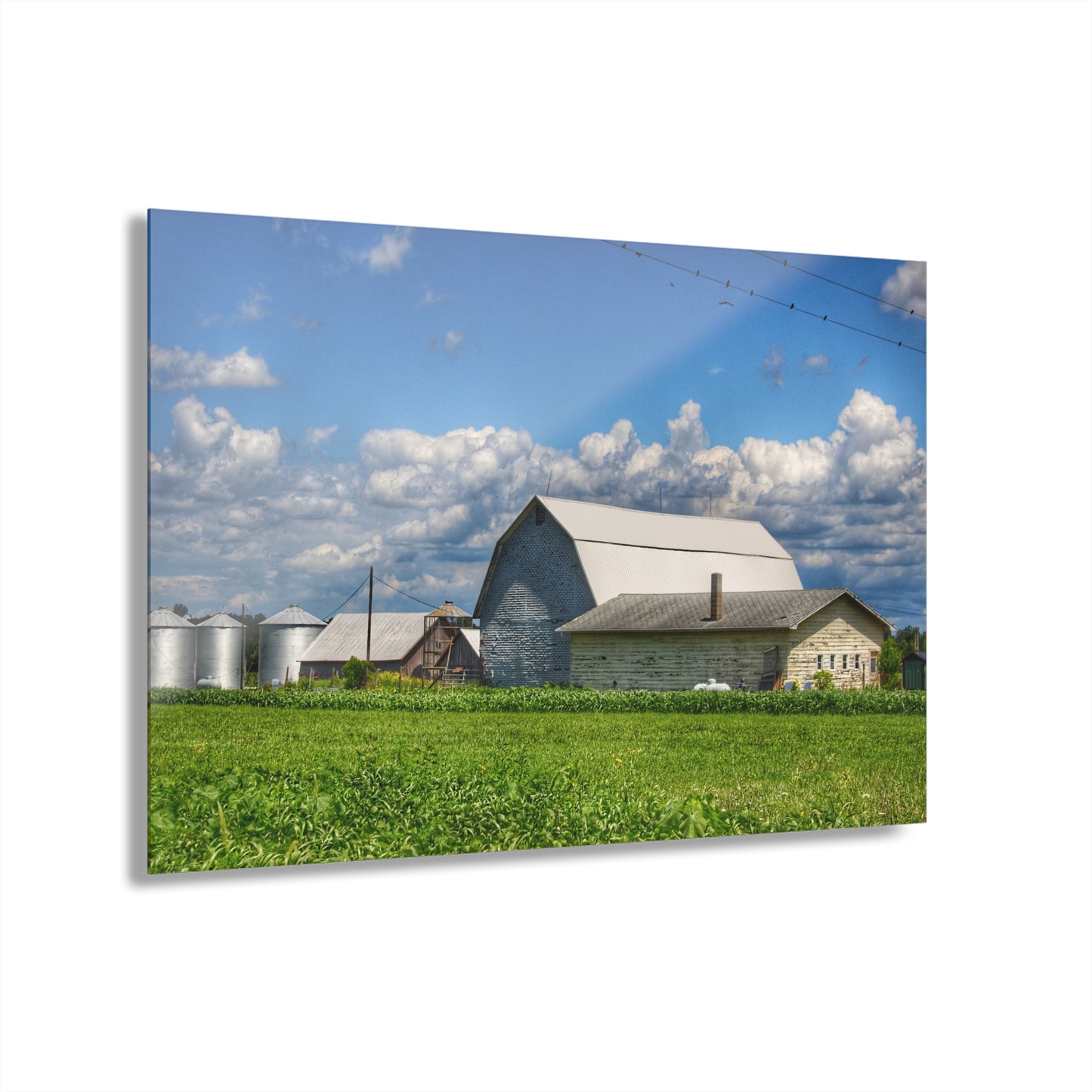 U R There Photography Lake Road Whites Rustic Farmhouse Acrylic Wall Print