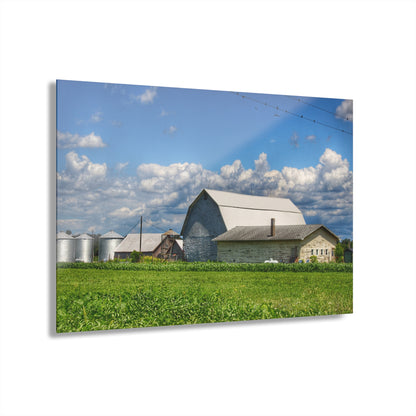 U R There Photography Lake Road Whites Rustic Farmhouse Acrylic Wall Print