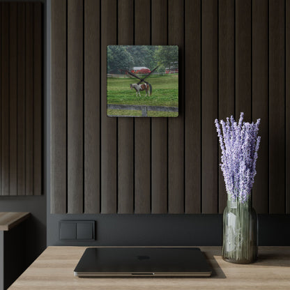 U R There Photography Painted Pony in Pasture Rustic Farmhouse Acrylic Analog Wall Clock