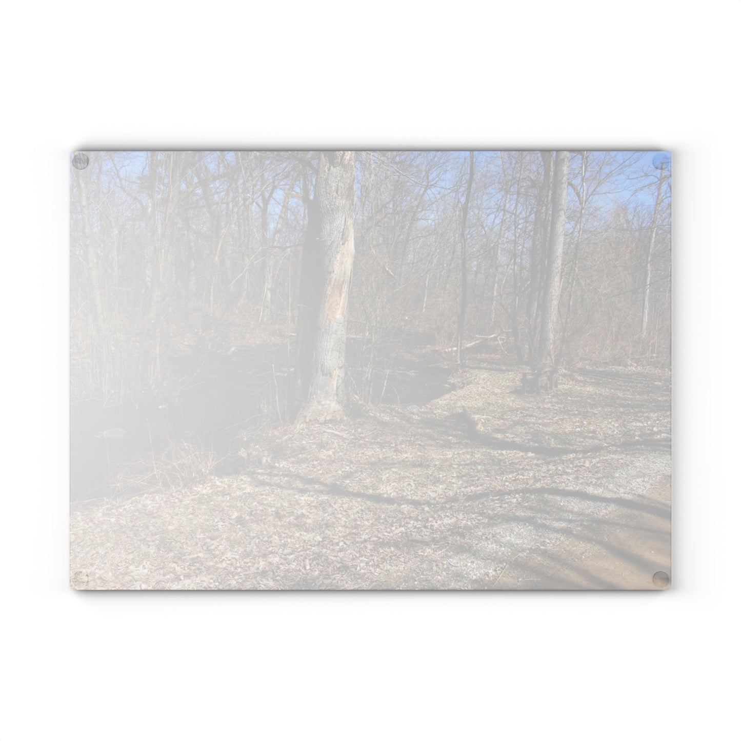 U R There Photography Creekside Seating Rustic Farmhouse Tempered-Glass Cutting Board