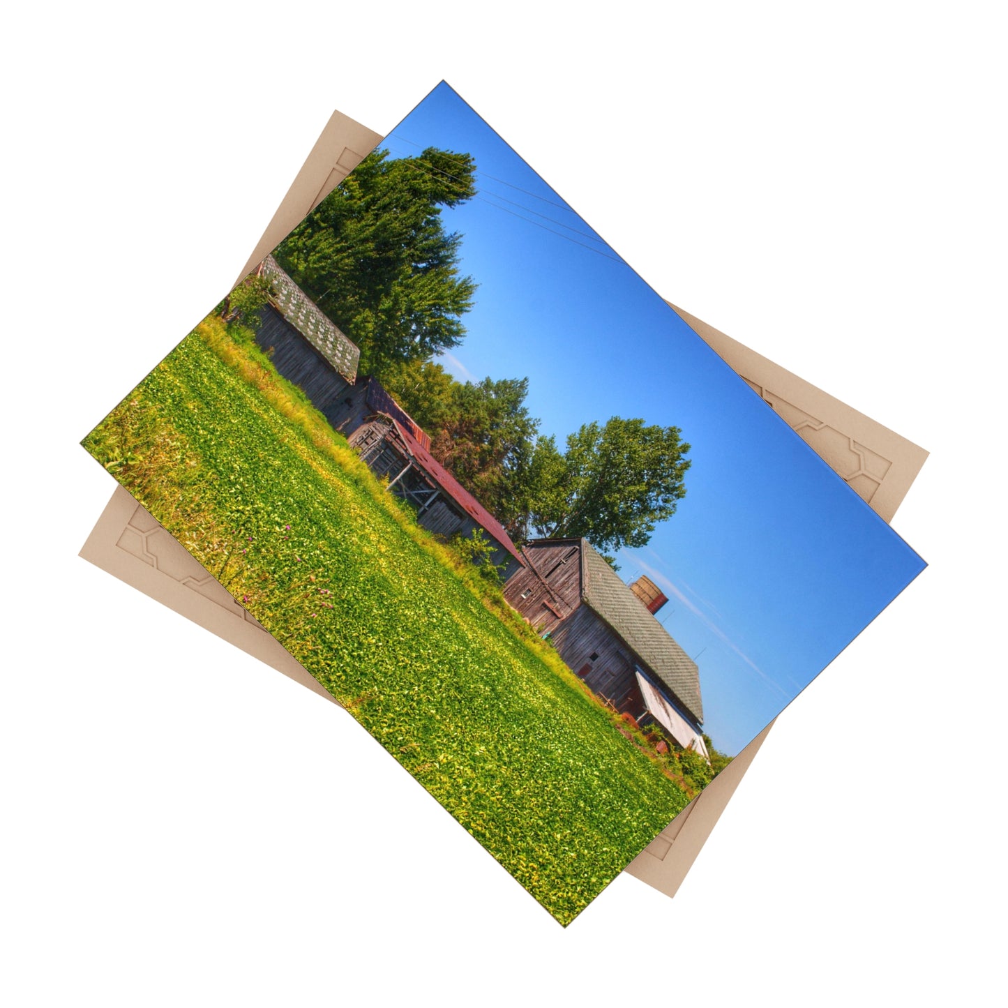 U R There Photography Birch Run Road Greys I Rustic Farmhouse Decorative Ceramic Tile