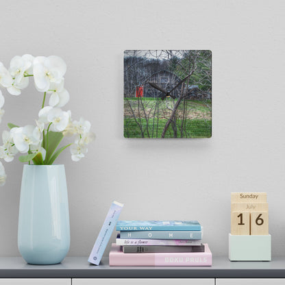 U R There Photography Hidden Capac Grey Rustic Farmhouse Acrylic Analog Wall Clock