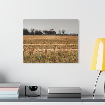 U R There Photography Freiberger Road Grey Across the Field Rustic Farmhouse Acrylic Wall Print