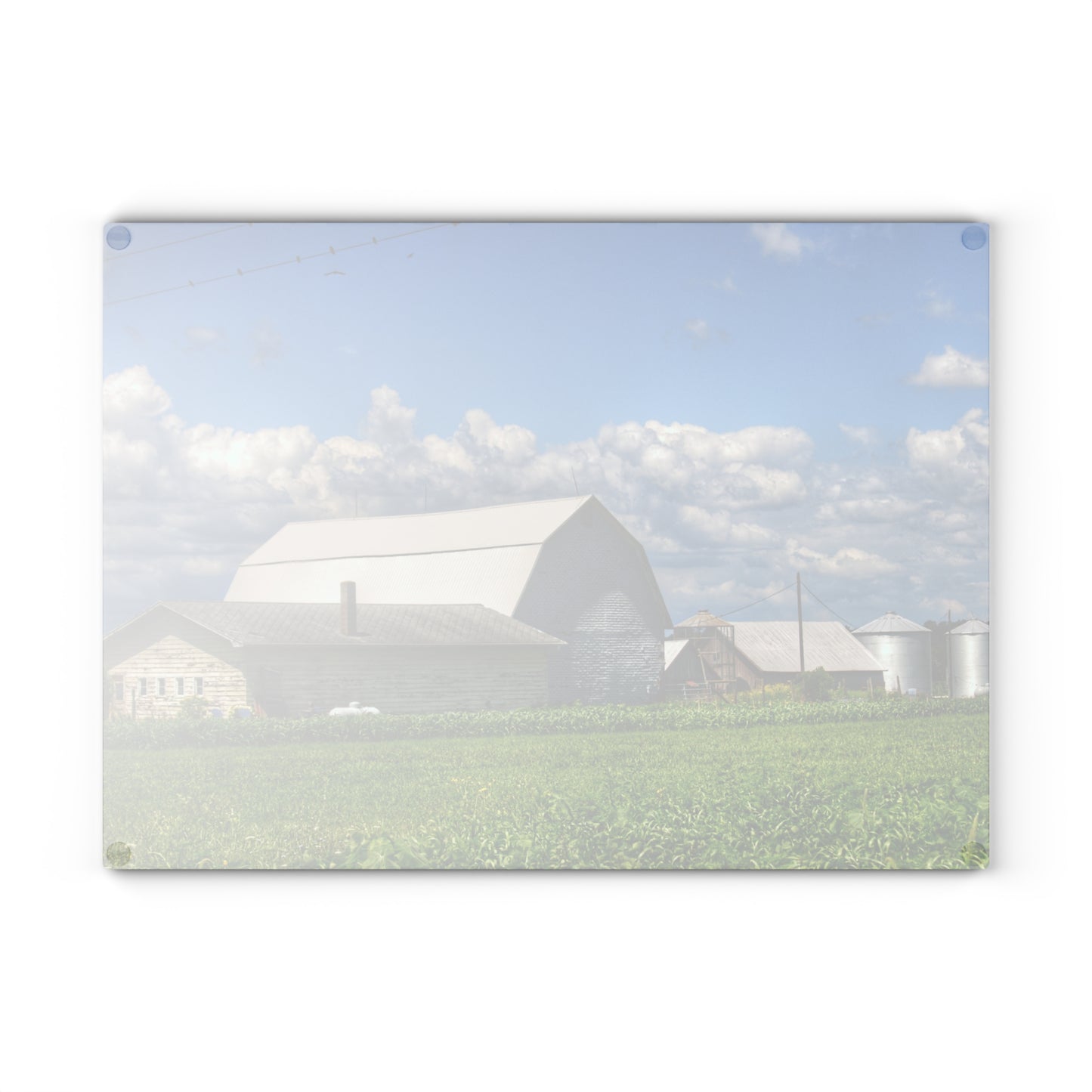 U R There Photography Lake Road Whites Rustic Farmhouse Tempered-Glass Cutting Board