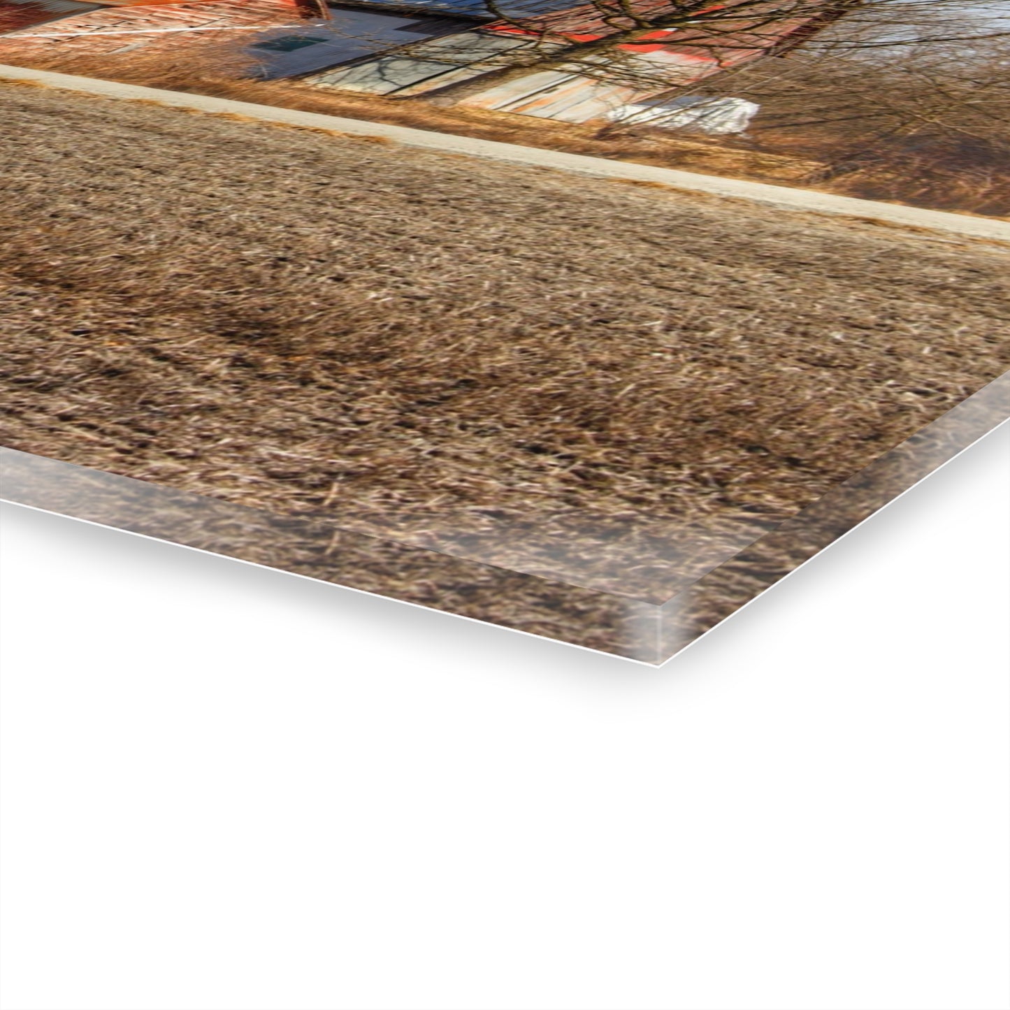 U R There Photography Indian Trail Rusted Reds I Rustic Farmhouse Acrylic Wall Print