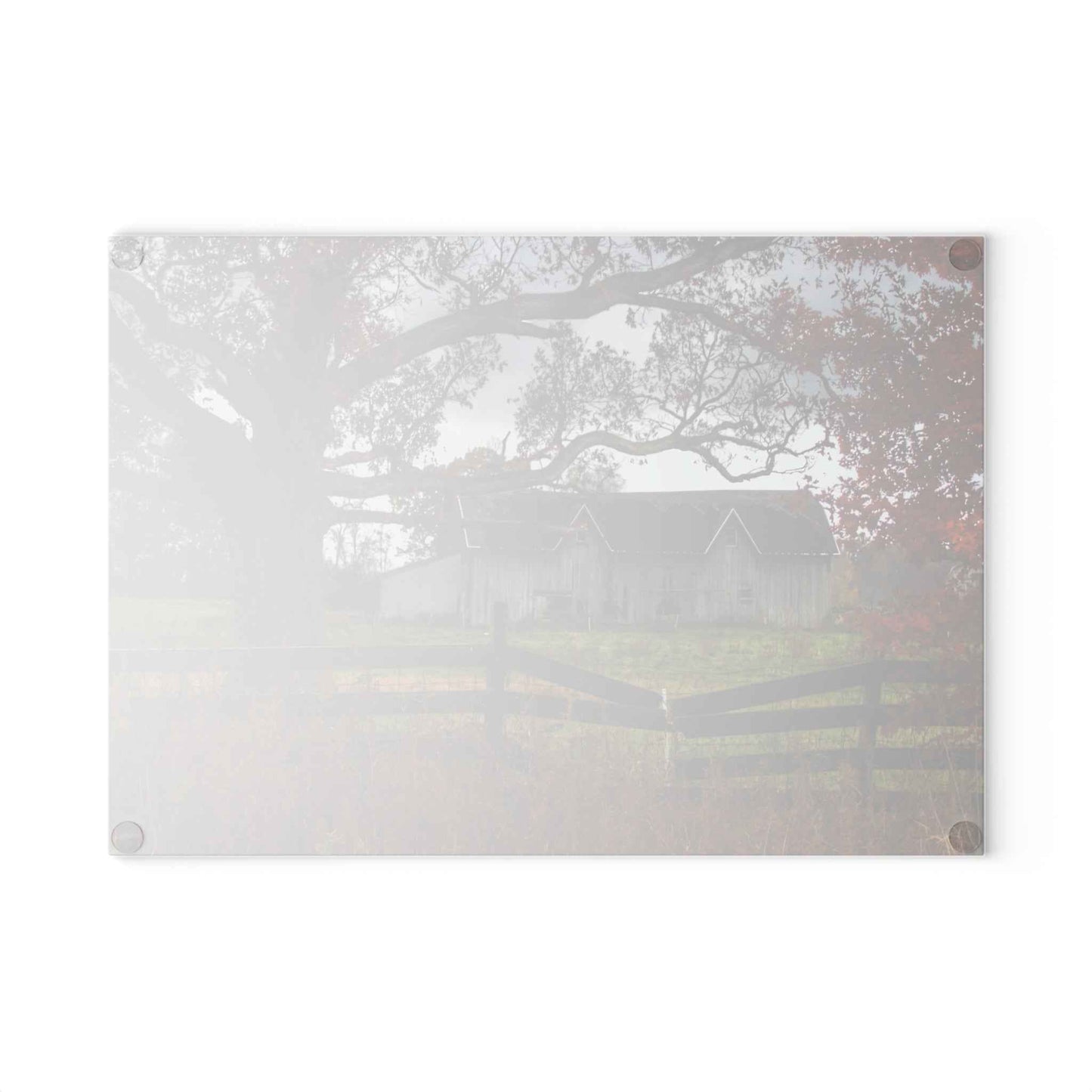 U R There Photography Green Road Grey Beyond the Oak Rustic Farmhouse Tempered-Glass Cutting Board