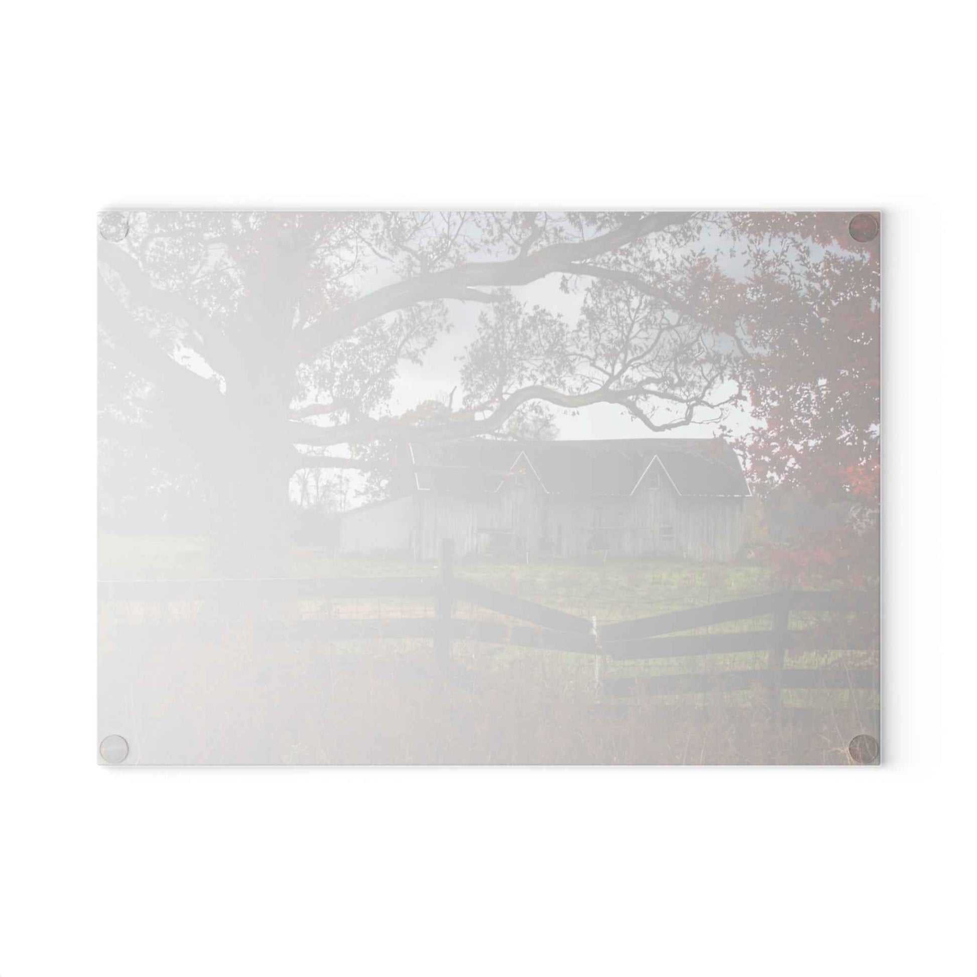 U R There Photography Green Road Grey Beyond the Oak Rustic Farmhouse Tempered-Glass Cutting Board