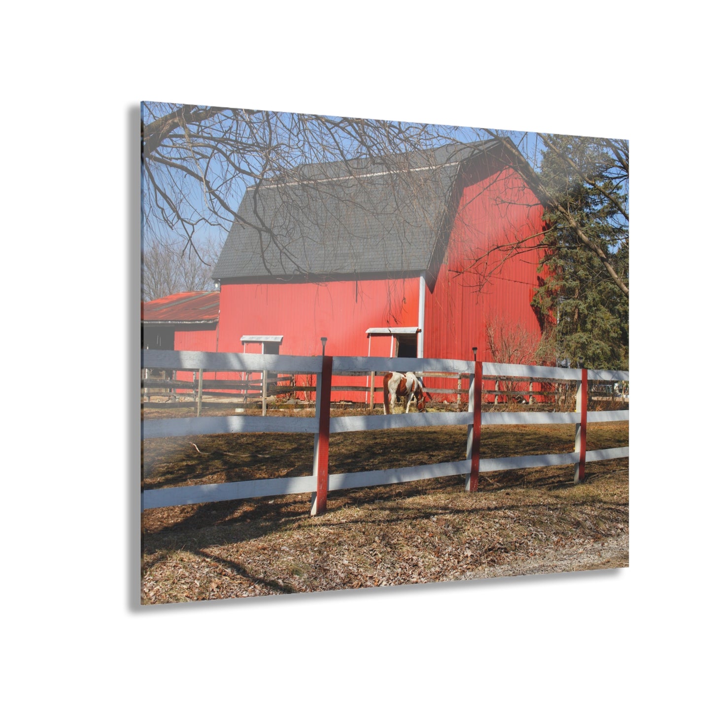 U R There Photography Wolcott Red and Filly Rustic Farmhouse Acrylic Wall Print