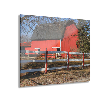 U R There Photography Wolcott Red and Filly Rustic Farmhouse Acrylic Wall Print