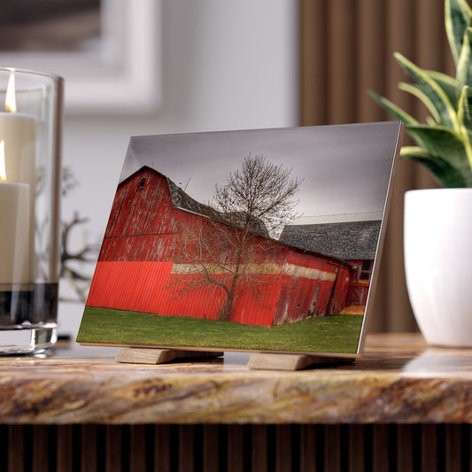 U R There Photography Almont Reds Rustic Farmhouse Decorative Ceramic Tile
