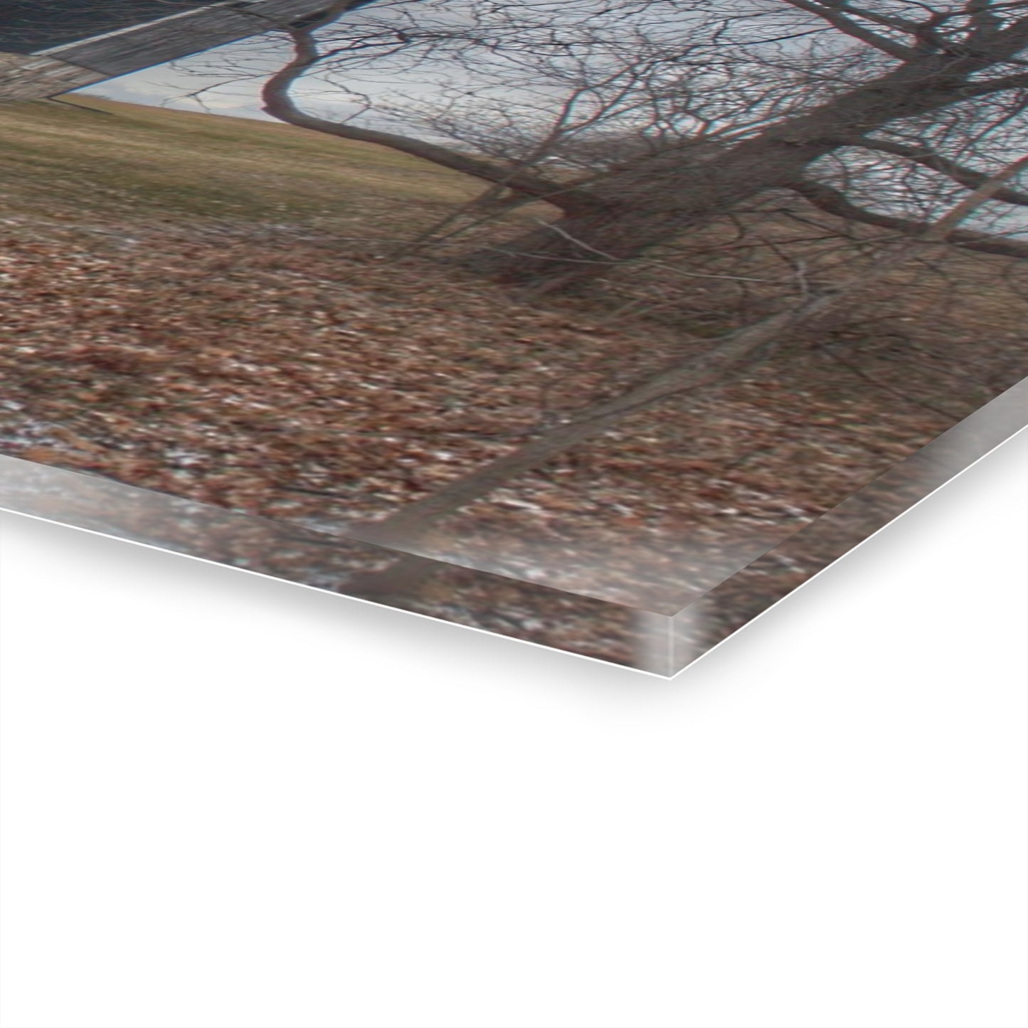 U R There Photography Attica Road Black Rustic Farmhouse Acrylic Wall Print