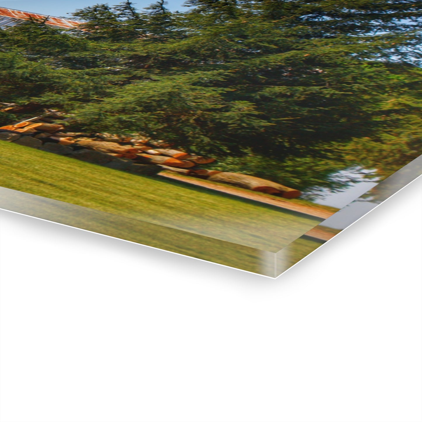 U R There Photography Mushroom Road Hidden Red Rustic Farmhouse Acrylic Wall Print