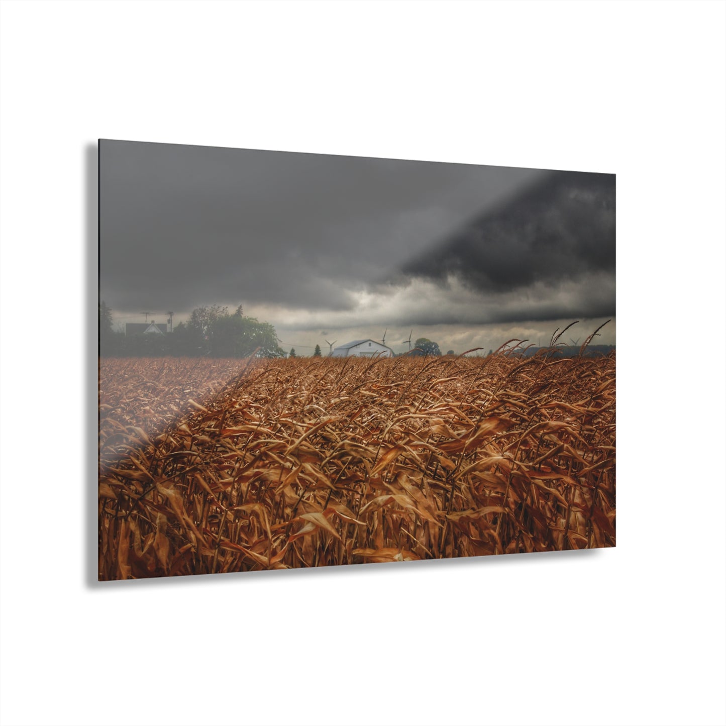 U R There Photography Garner Road Hidden White Rustic Farmhouse Acrylic Wall Print