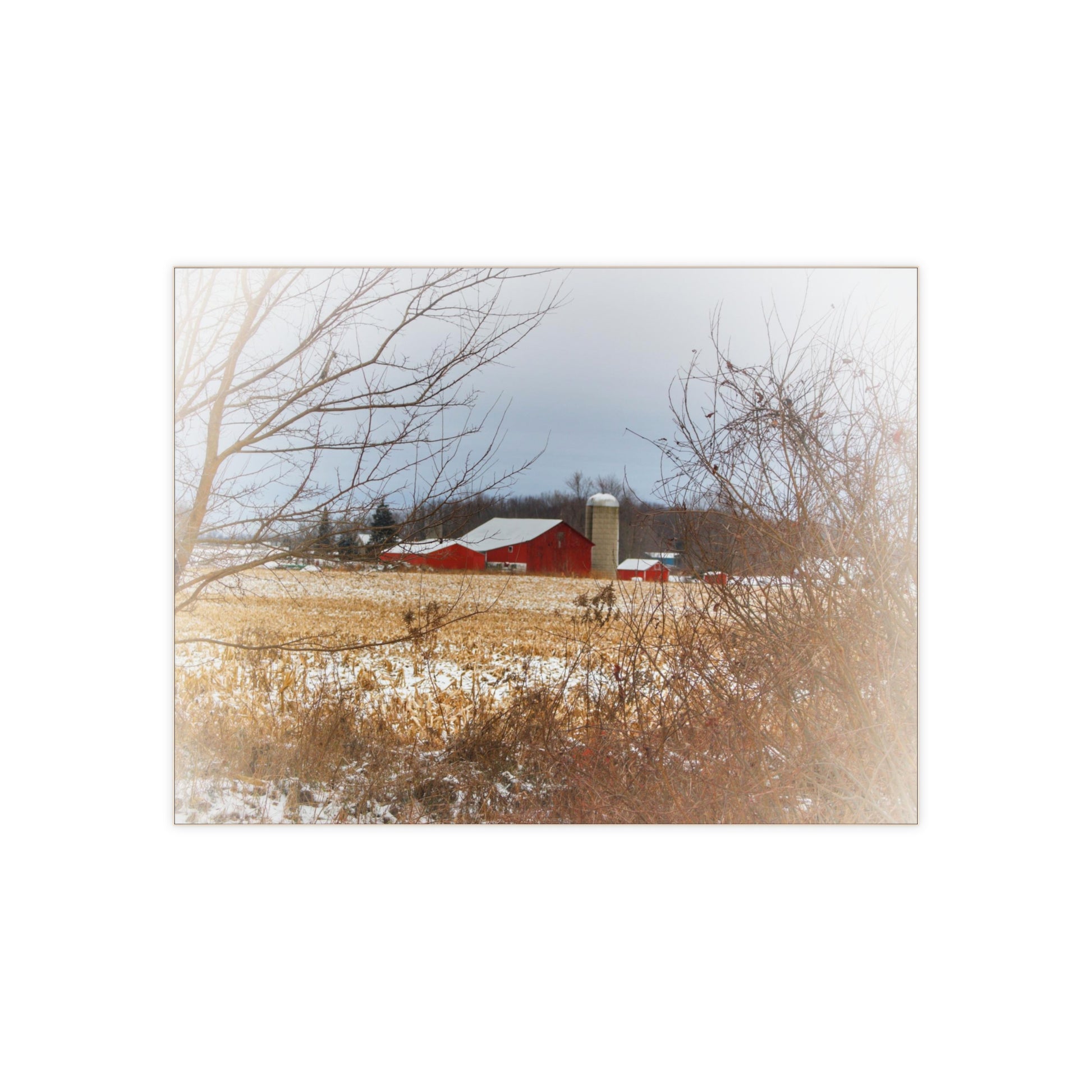 U R There Photography Brook Road Red in Winter Rustic Farmhouse Decorative Ceramic Tile 6" × 8" Glossy