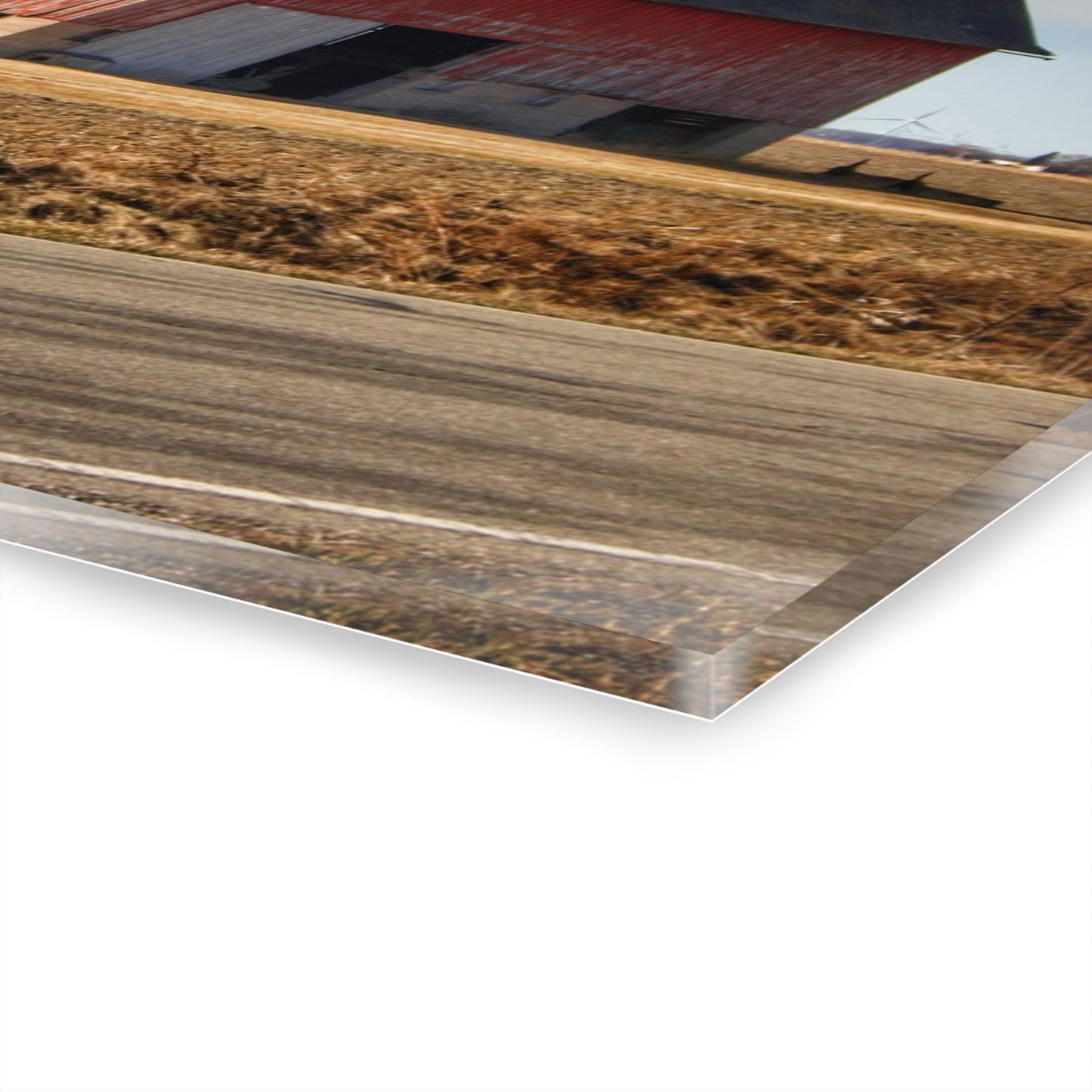 U R There Photography Elmwood Forgotten Apple Red Rustic Farmhouse Acrylic Wall Print