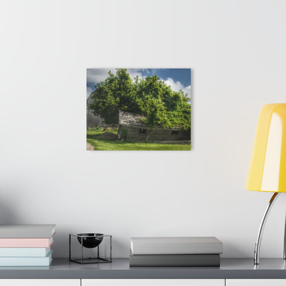 U R There Photography Brown City Road Barn and Buddy I Rustic Farmhouse Acrylic Wall Print