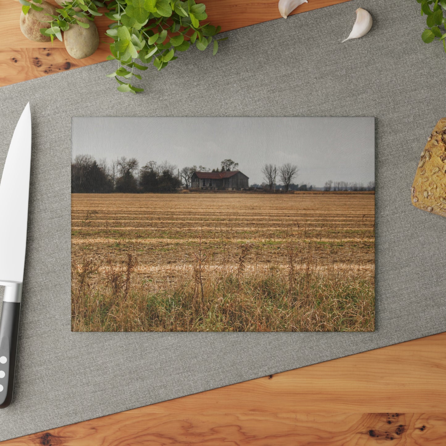 U R There Photography Freiberger Road Grey Across the Field Rustic Farmhouse Tempered-Glass Cutting Board