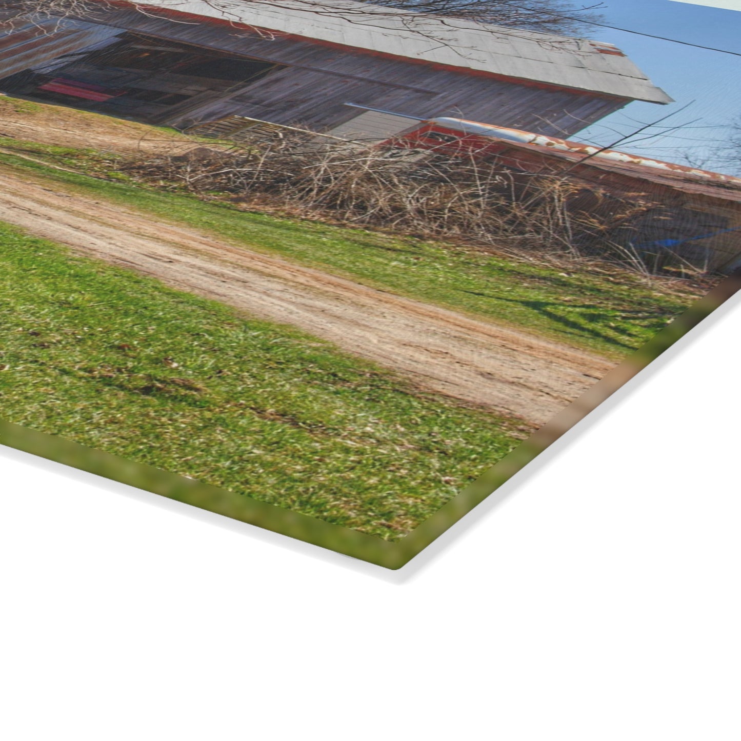 U R There Photography Lee Hill Greys Rustic Farmhouse Tempered-Glass Cutting Board