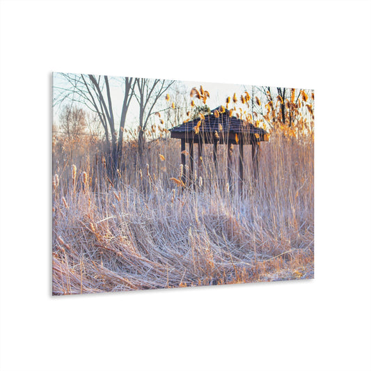 U R There Photography Haines Hidden Gazebo Rustic Farmhouse Acrylic Wall Print