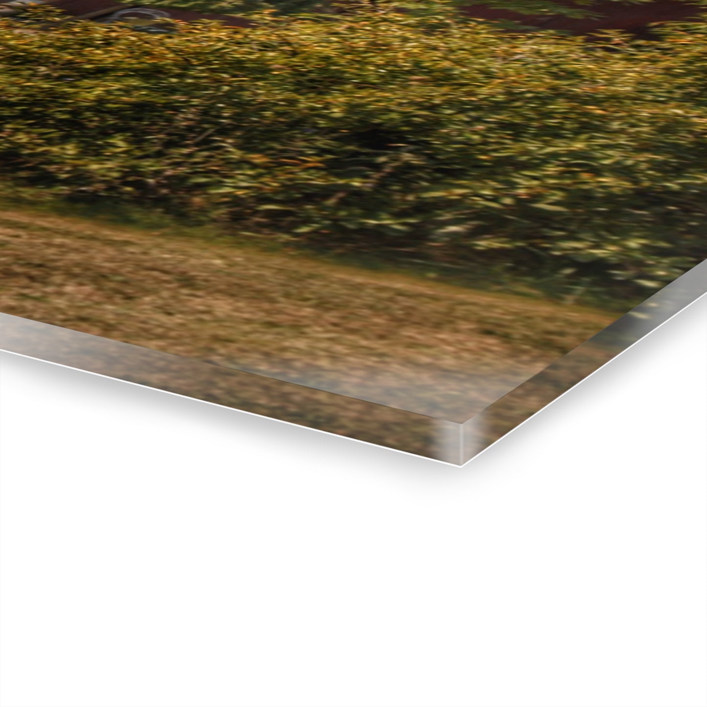 U R There Photography Vassar Roadside Red Rustic Farmhouse Acrylic Wall Print