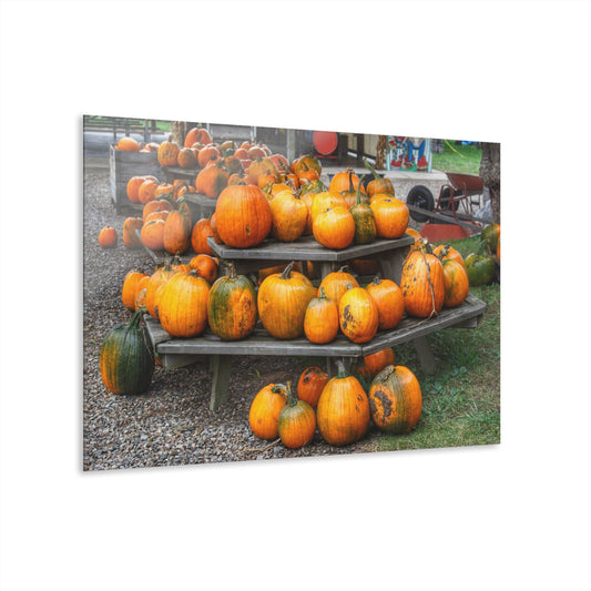 U R There Photography Tabletop Pumpkins Rustic Farmhouse Acrylic Wall Print