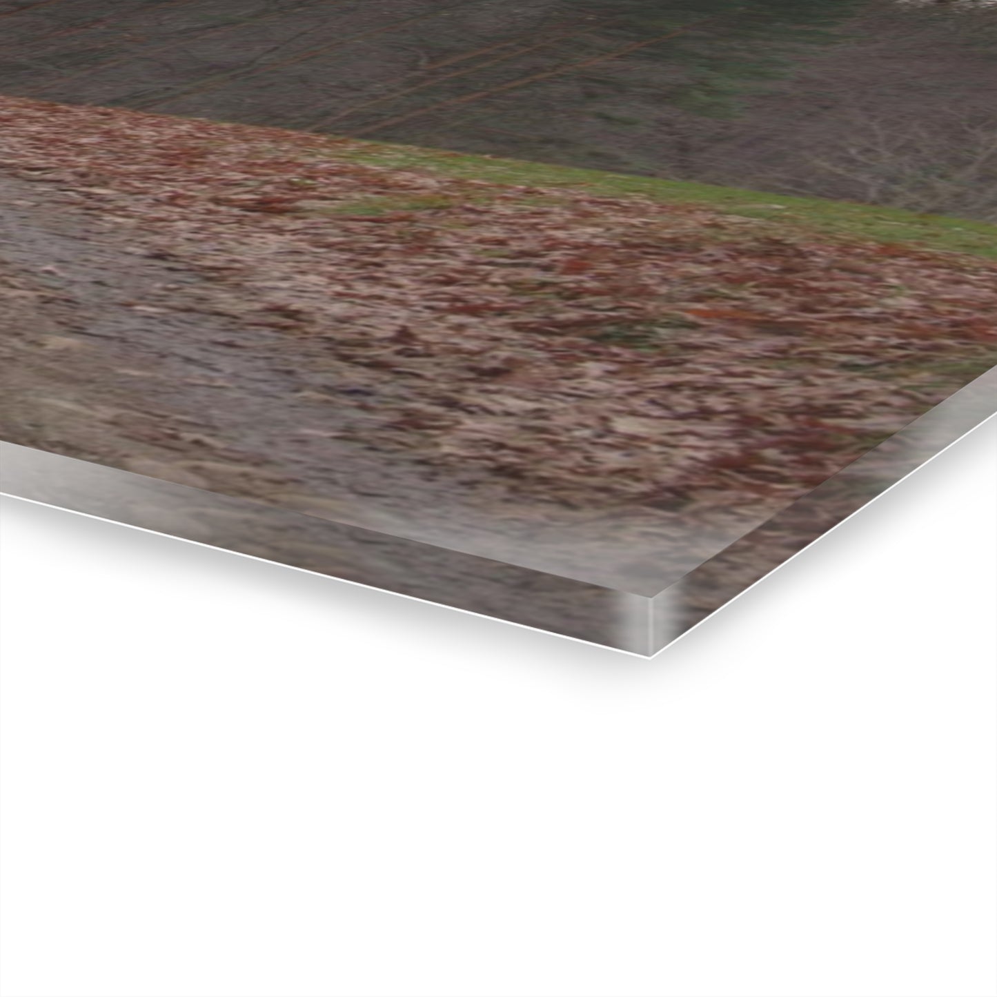 U R There Photography Grey Horse Barn Rustic Farmhouse Acrylic Wall Print