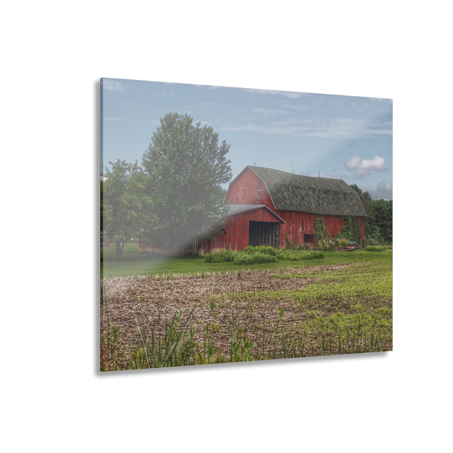 U R There Photography Murphy Lake Road Reds Rustic Farmhouse Acrylic Wall Print