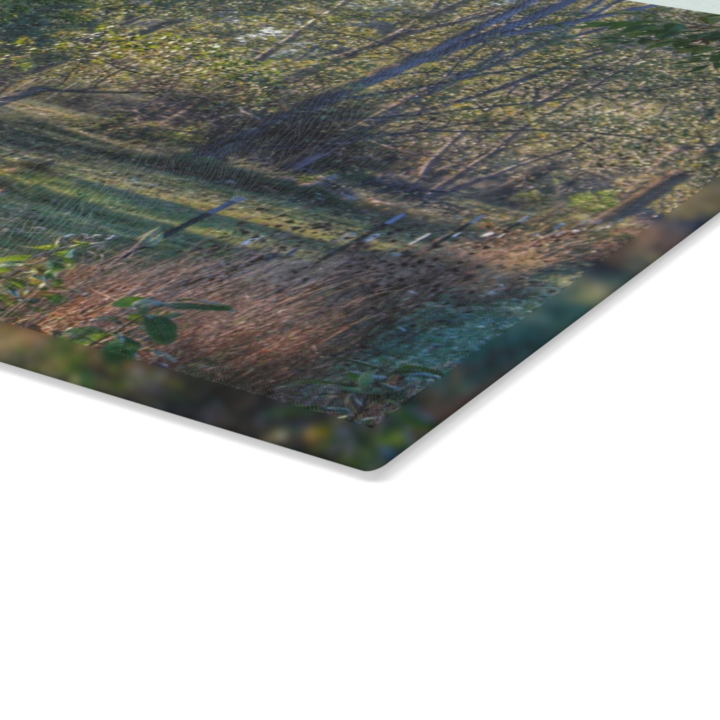 U R There Photography Chestnut Horse Among the Trees Rustic Farmhouse Tempered-Glass Cutting Board