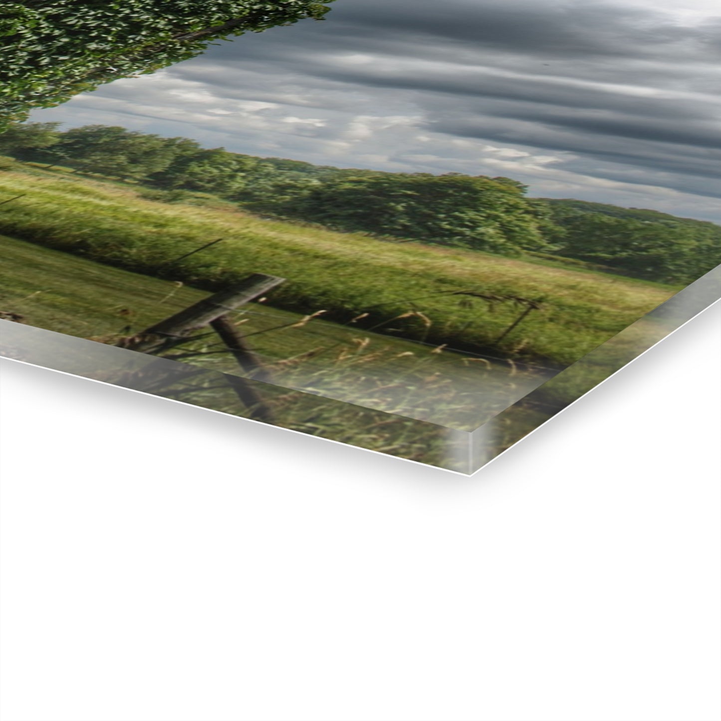 U R There Photography North Branch Ivy Grey II Rustic Farmhouse Acrylic Wall Print