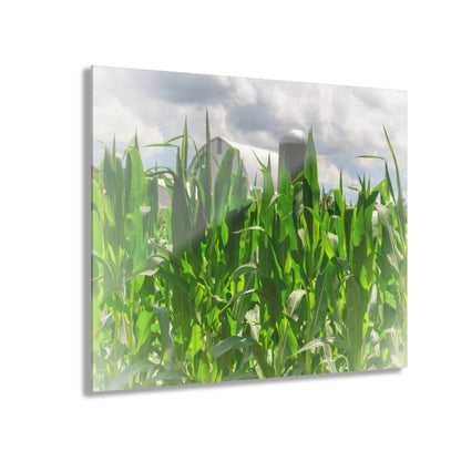 U R There Photography Beyond the Corn in Millington Rustic Farmhouse Acrylic Wall Print