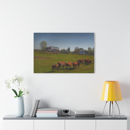 U R There Photography Plain Road Farm and Cows Rustic Farmhouse Acrylic Wall Print