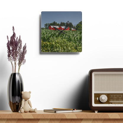 U R There Photography Shoemaker Road Reds Beyond the Corn Rustic Farmhouse Acrylic Analog Wall Clock