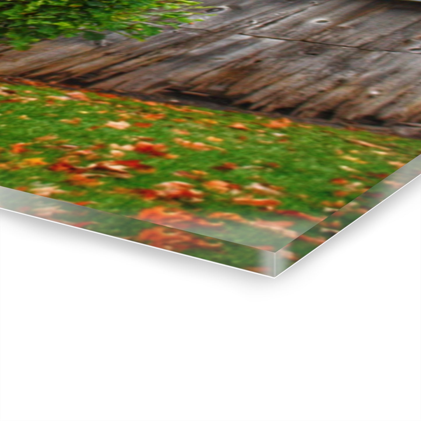 U R There Photography Grey Roadside Shack Rustic Farmhouse Acrylic Wall Print