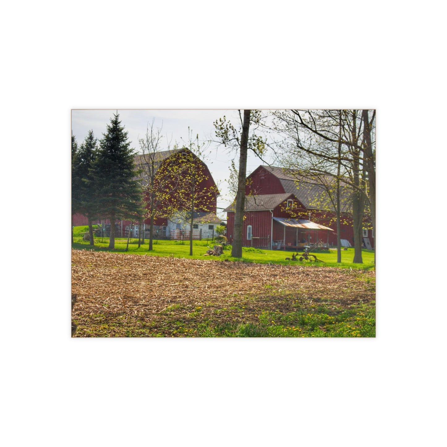 U R There Photography Bishop Road Reds III Rustic Farmhouse Decorative Ceramic Tile