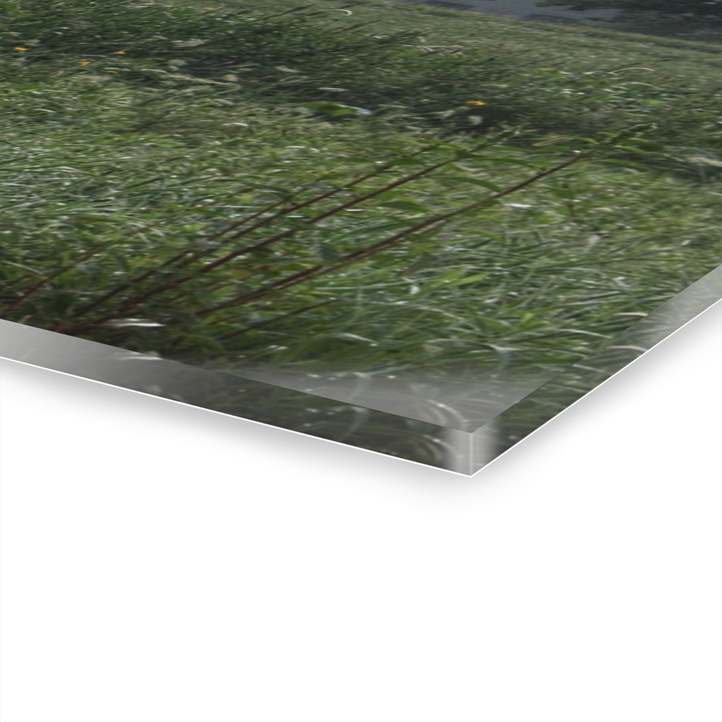 U R There Photography Hill Road Grey in the Fog Rustic Farmhouse Acrylic Wall Print