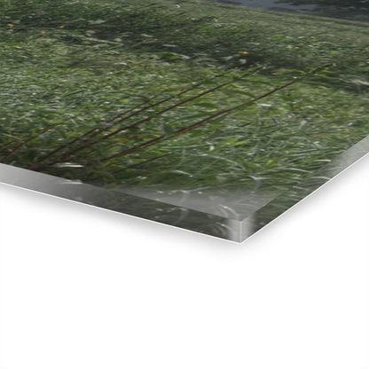 U R There Photography Hill Road Grey in the Fog Rustic Farmhouse Acrylic Wall Print