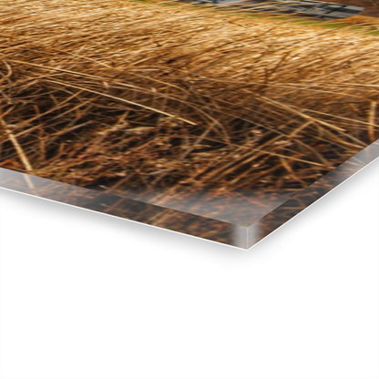 U R There Photography North Center Road Grey Rustic Farmhouse Acrylic Wall Print