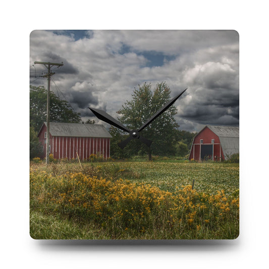 Pinstripe Barn and Buddy II Rustic Farmhouse Acrylic Analog Wall Clock 10.75'' × 10.75'' (Square)