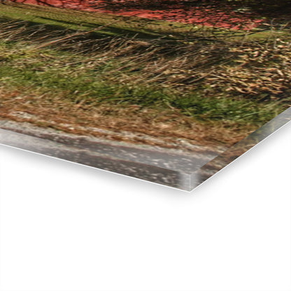 U R There Photography Genesee Road Red III Rustic Farmhouse Acrylic Wall Print