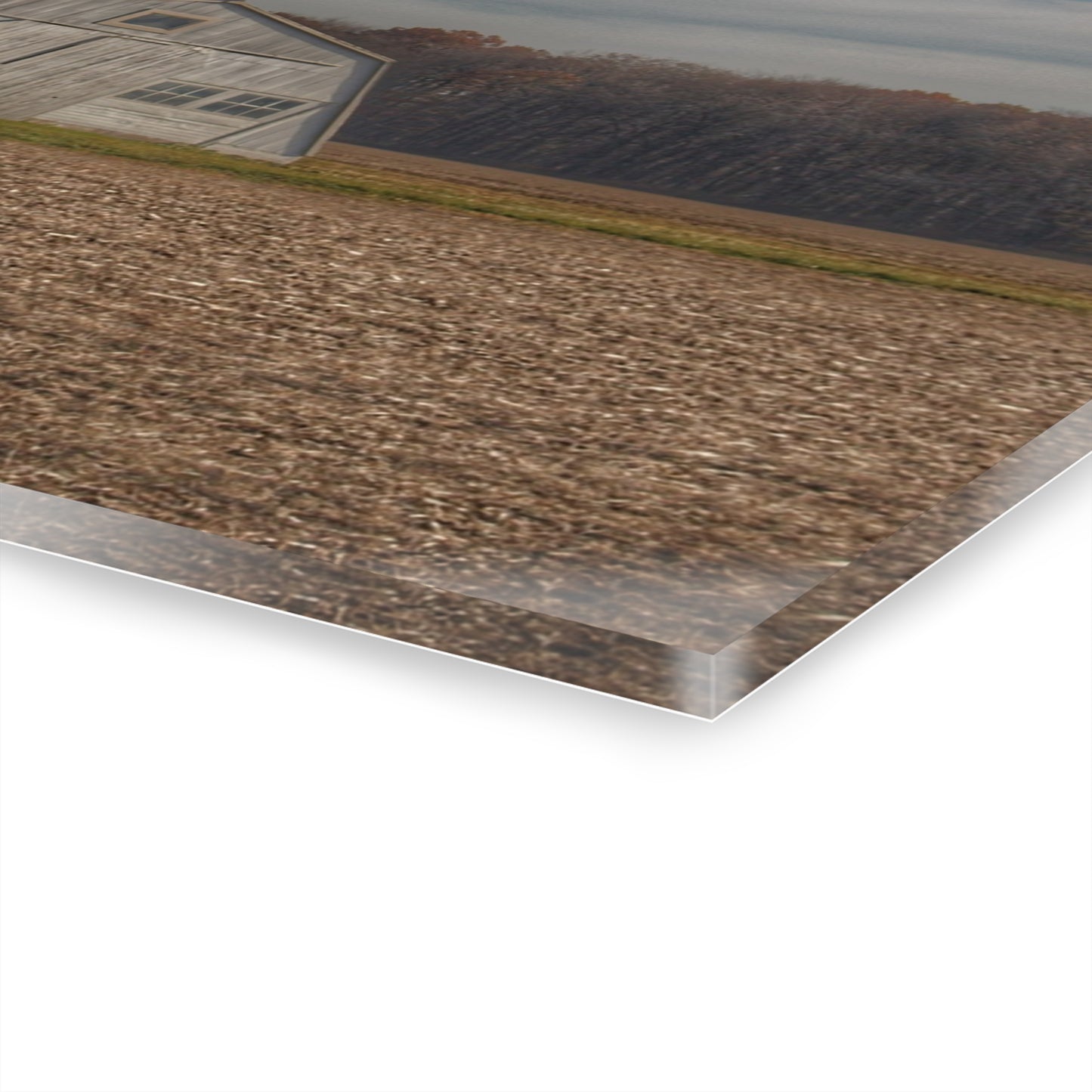 U R There Photography Grey Quonset Among the Pines Rustic Farmhouse Acrylic Wall Print