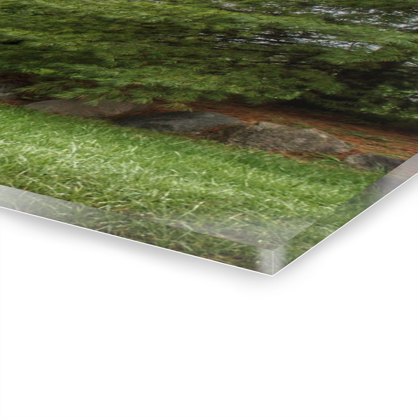 U R There Photography Dequindre Road Grey II Rustic Farmhouse Acrylic Wall Print