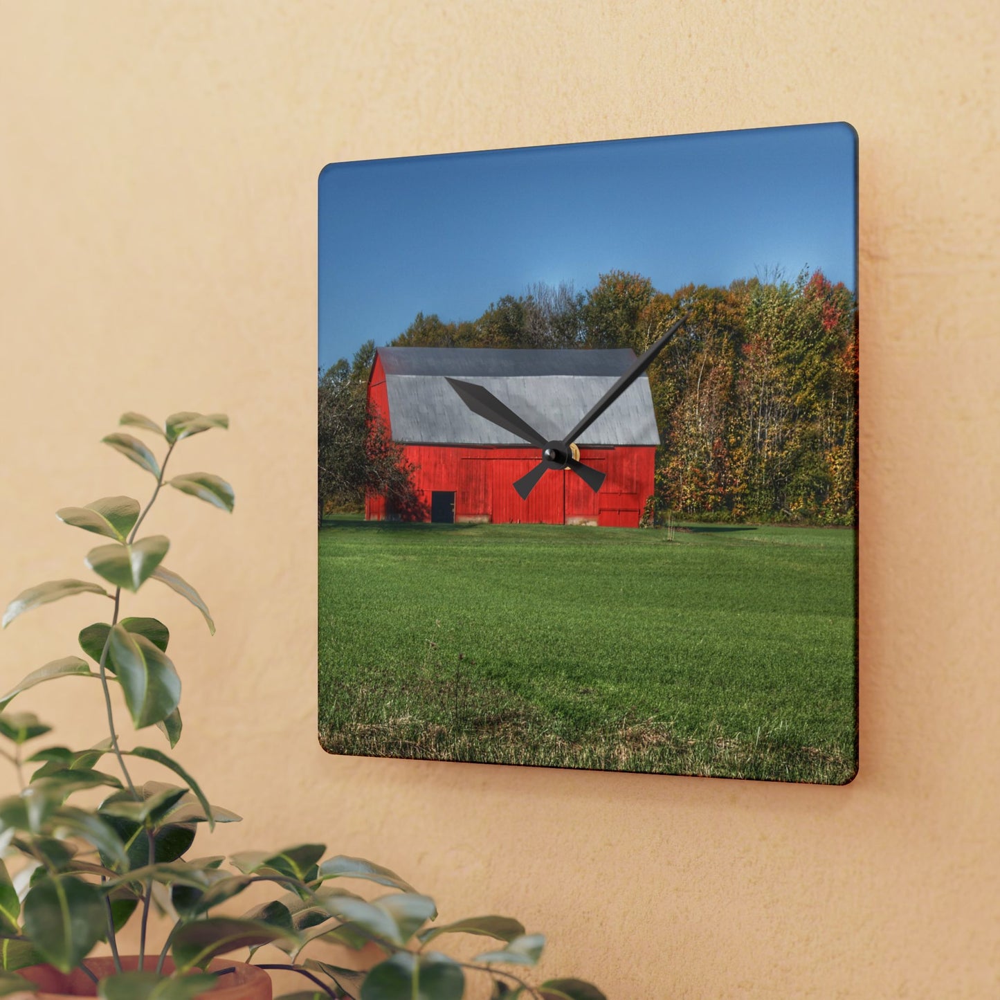 U R There Photography Ubly Road Red Rustic Farmhouse Acrylic Analog Wall Clock