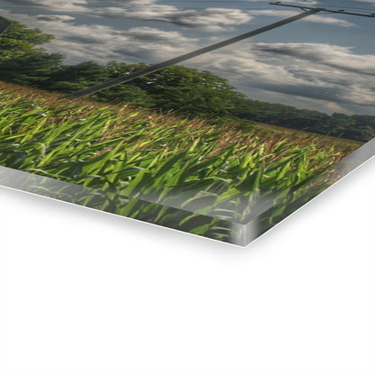 U R There Photography Grey Barn in a Cornfield Rustic Farmhouse Acrylic Wall Print