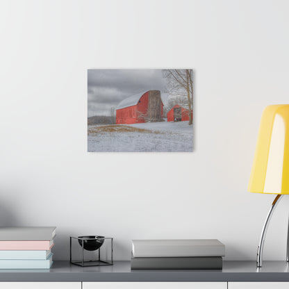 U R There Photography Catlin Reds in Winter II Rustic Farmhouse Acrylic Wall Print